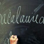 ANUNT VIZUALIZARE LUCRARI SI DEPUNERE CONTESTATII – BACALAUREAT 2026